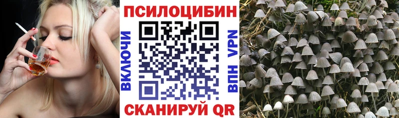 Галлюциногенные грибы Magic Shrooms  наркота  Мариинский Посад 